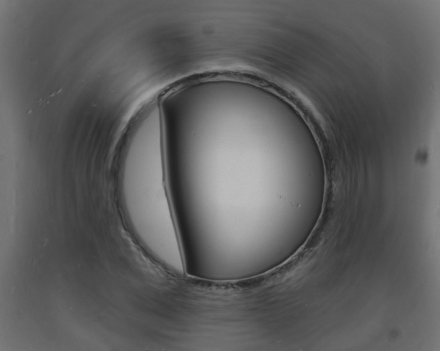 X0000093720975200710160747