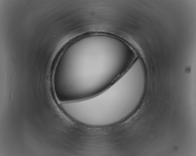 X0000093720976200710160747