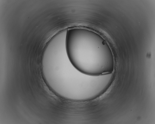 X0000093720977200710160747