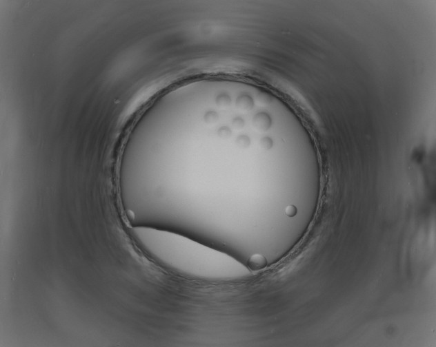 X0000093720978200710160747