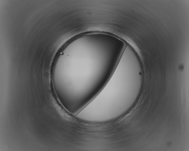 X0000093720980200710160747
