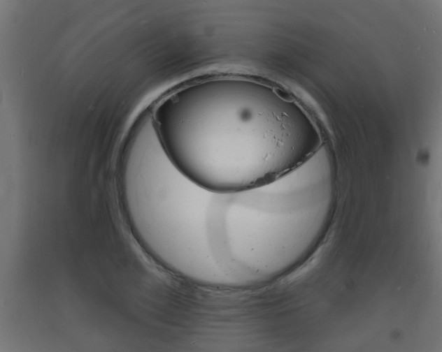X0000093720981200710160747