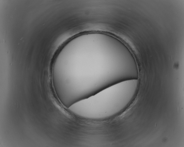 X0000093720982200710160747