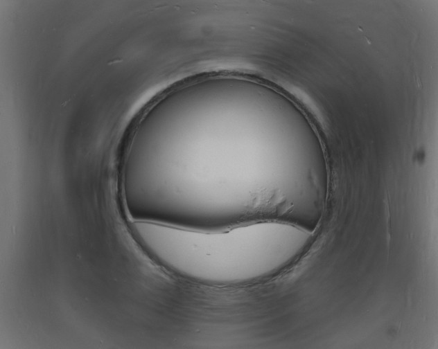 X0000093720983200710160747