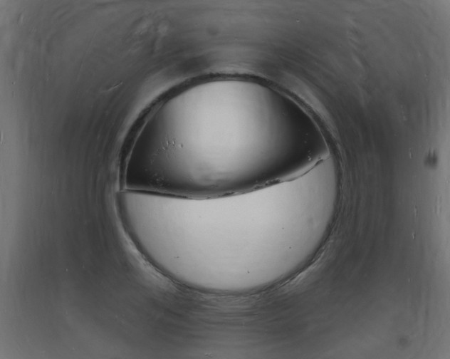 X0000093720984200710160747
