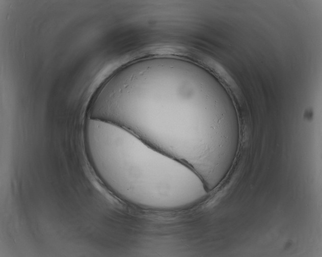 X0000093720986200710160747