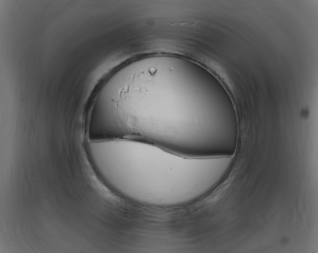 X0000093720987200710160747