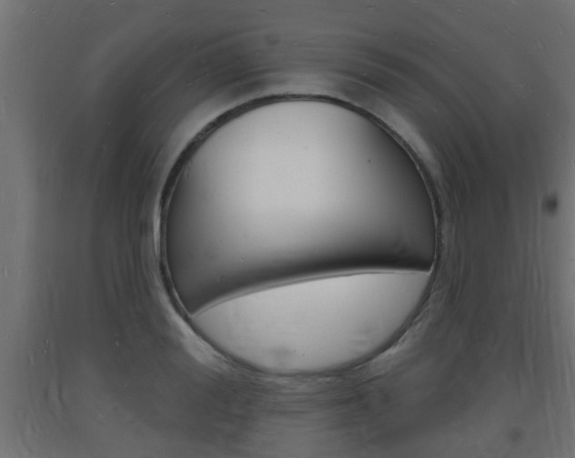 X0000093720988200710160747