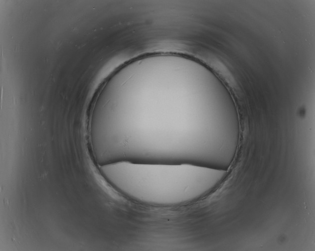 X0000093720990200710160747