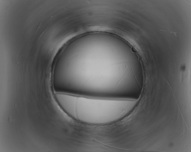 X0000093720992200710160746