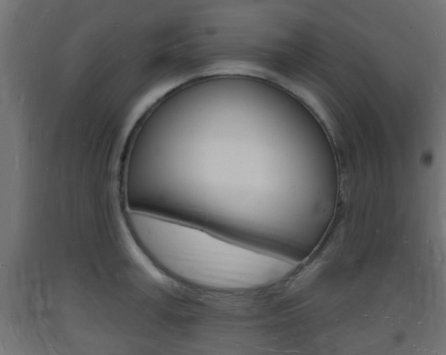X0000093720995200710160746