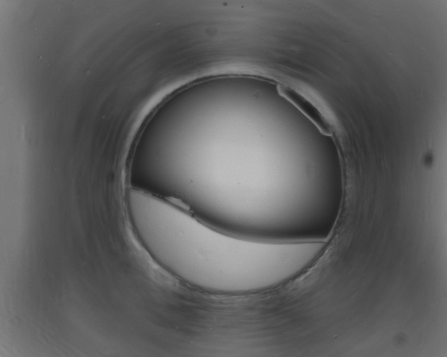X0000093720996200710160746