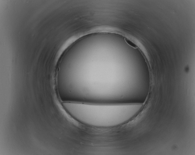 X0000093720997200710160746