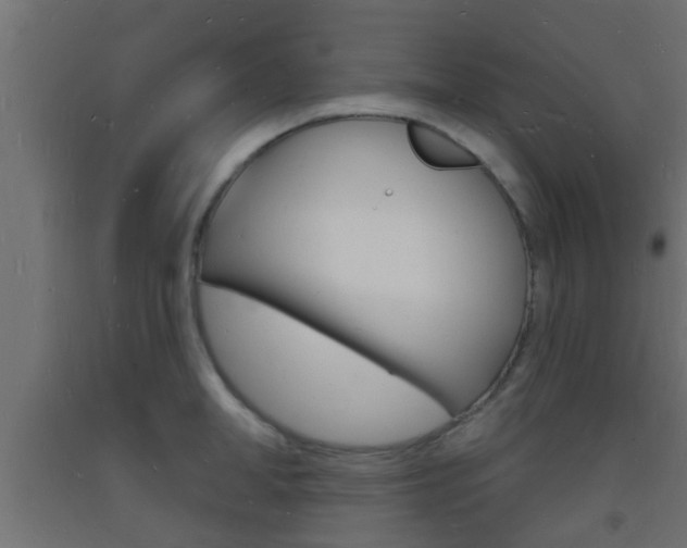 X0000093720998200710160746