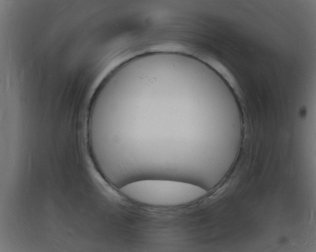 X0000093721000200710160746