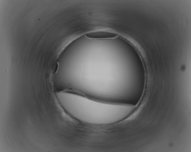 X0000093721001200710160746