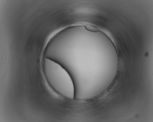 X0000093721003200710160746