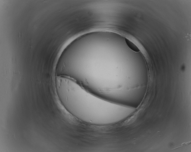X0000093721004200710160746