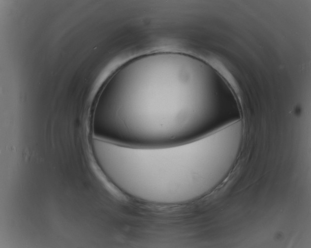 X0000093721005200710160746