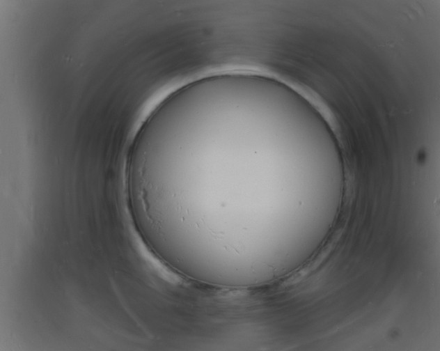 X0000093721006200710160746