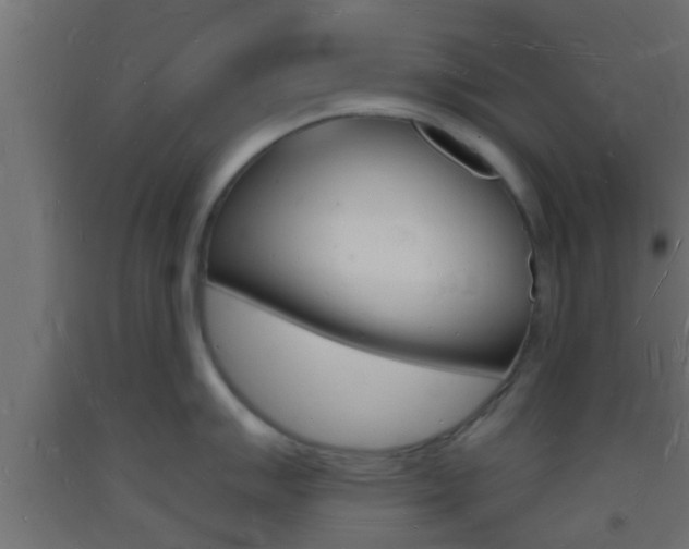 X0000093721007200710160746