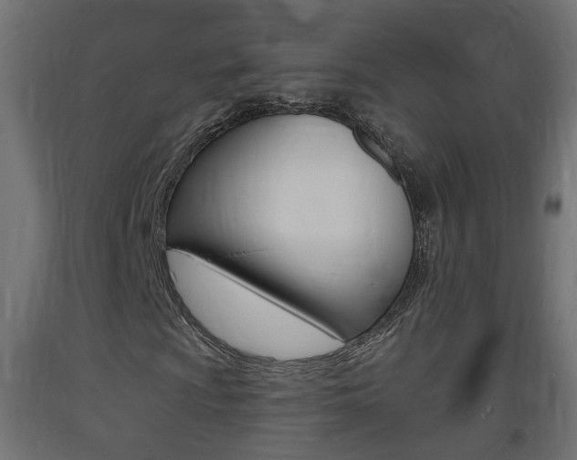X0000093721009200710160746