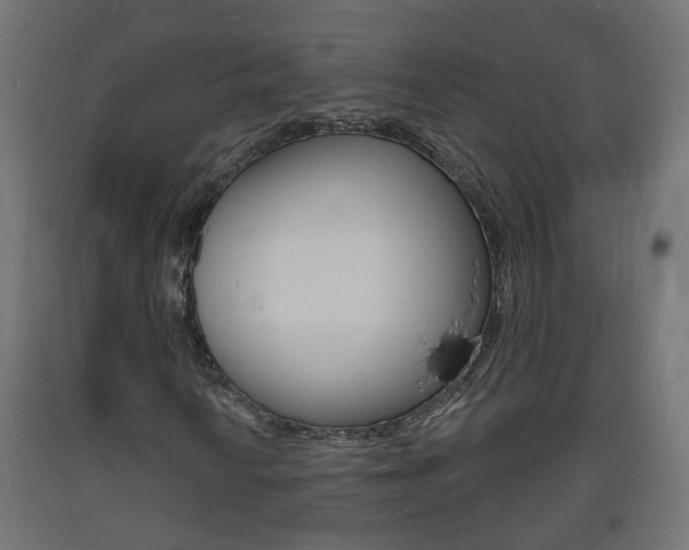 X0000093721010200710160746