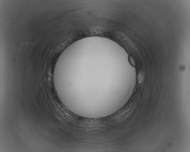 X0000093721011200710160746