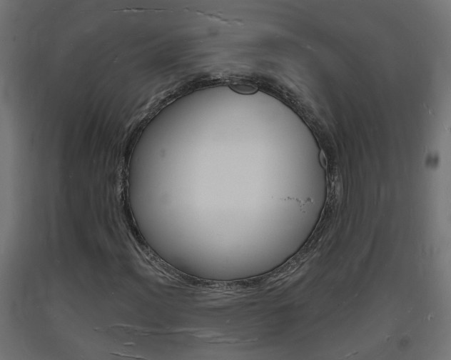 X0000093721012200710160746