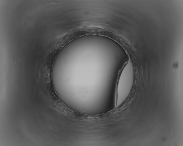 X0000093721013200710160746