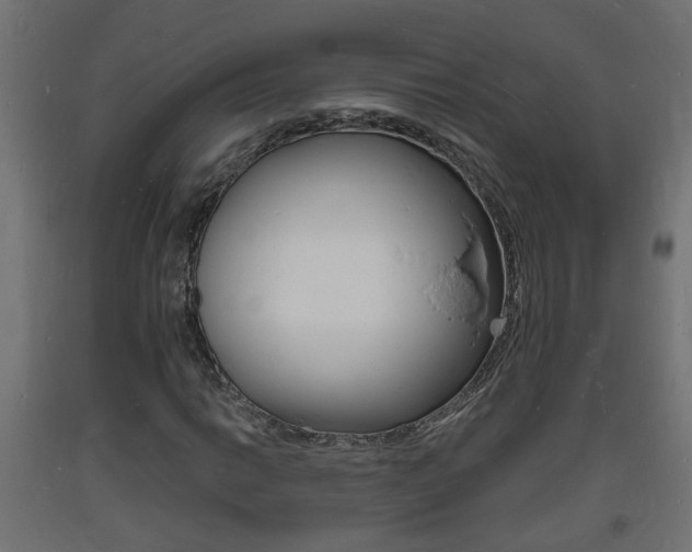 X0000093721014200710160746