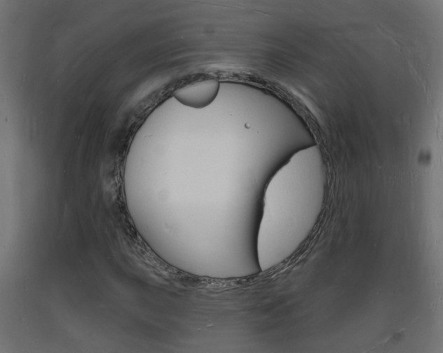 X0000093721015200710160746
