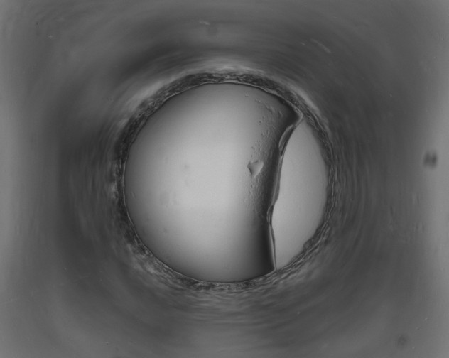 X0000093721016200710160746