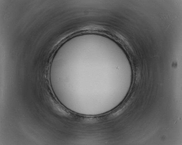 X0000093721017200710160746