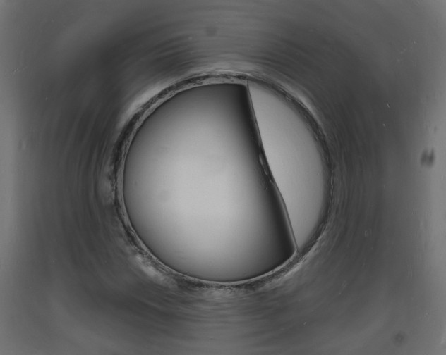 X0000093721018200710160746