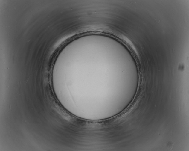 X0000093721019200710160746