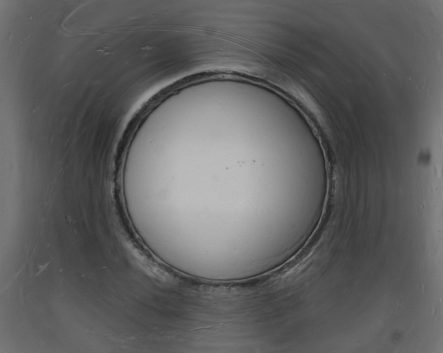 X0000093721020200710160746