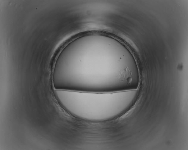 X0000093721021200710160746