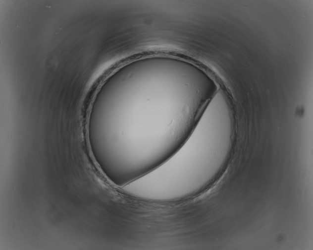X0000093721022200710160746