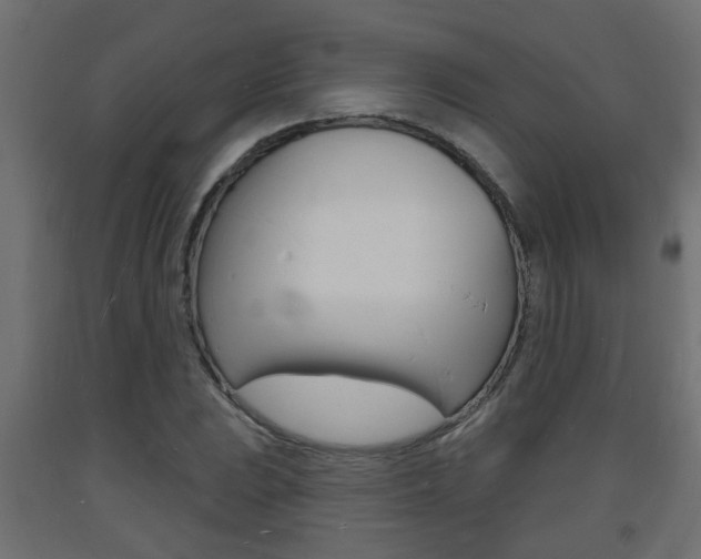 X0000093721023200710160746
