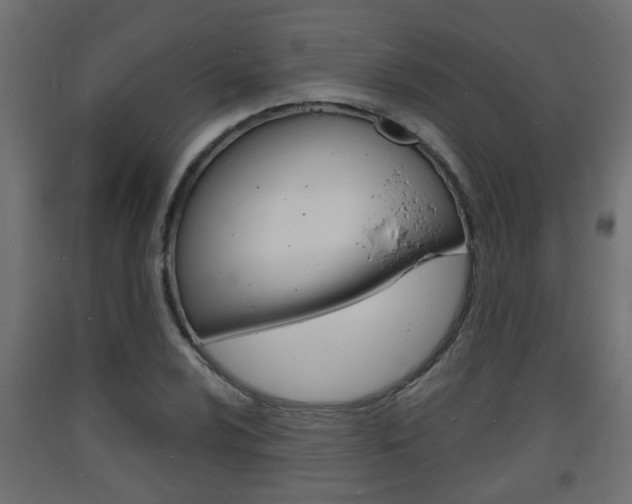 X0000093721024200710160746