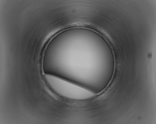 X0000093721026200710160746