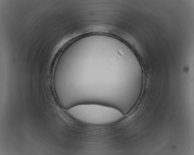 X0000093721027200710160746
