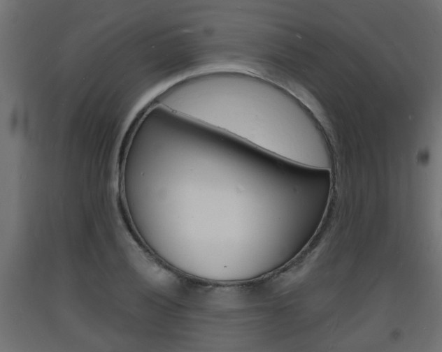 X0000093721028200710160746
