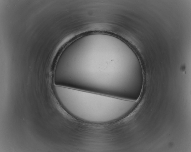 X0000093721029200710160746