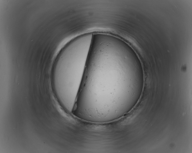 X0000093721030200710160746