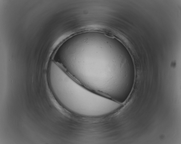 X0000093721034200710160746
