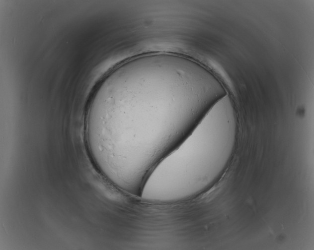 X0000093721035200710160746