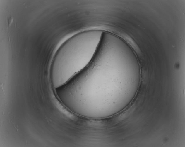 X0000093721036200710160746
