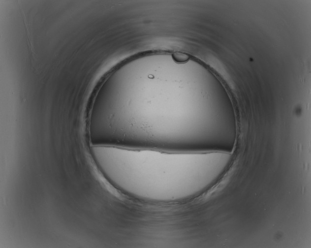 X0000093721037200710160746